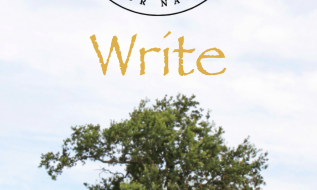 Write about your cause, movement, or nonprofit